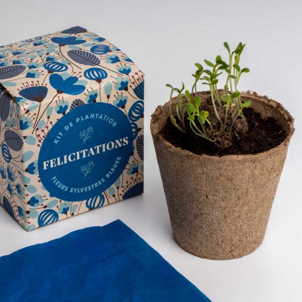 Box de plantation Felicitation Resetea 2