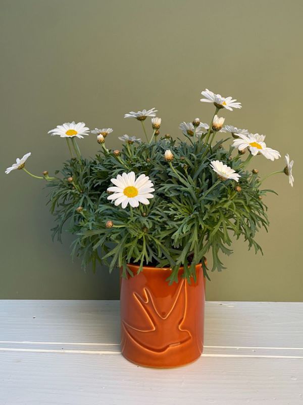 Cache pot céramique Monochromic 3