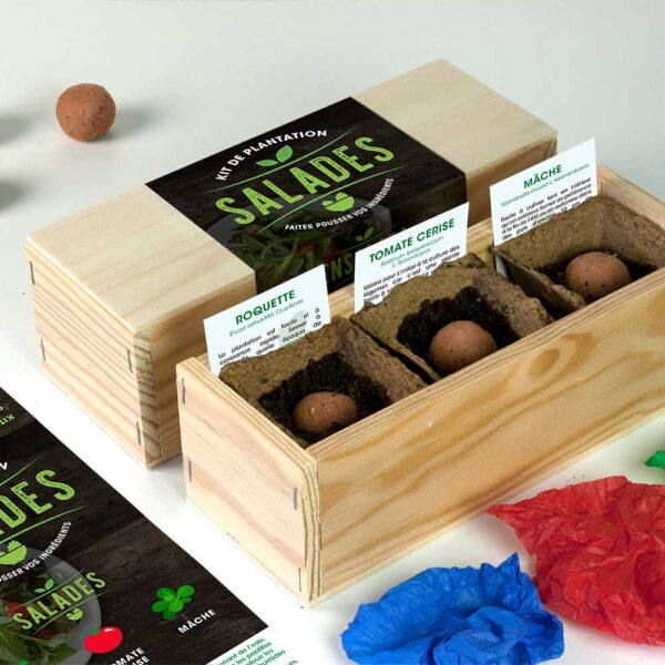 Kit de plantation salades Resetea