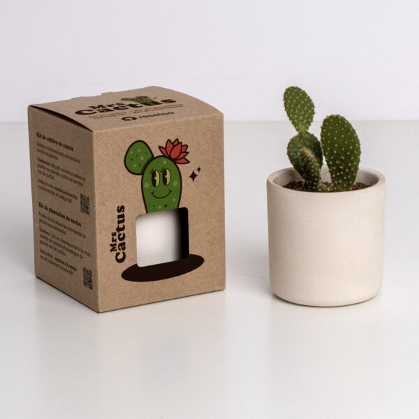 Kit resetea the Cactus Resetea 1
