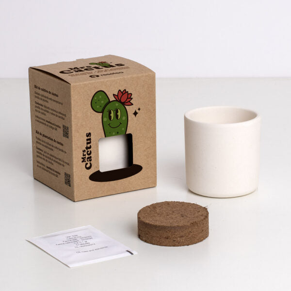 Kit resetea the Cactus Resetea 2