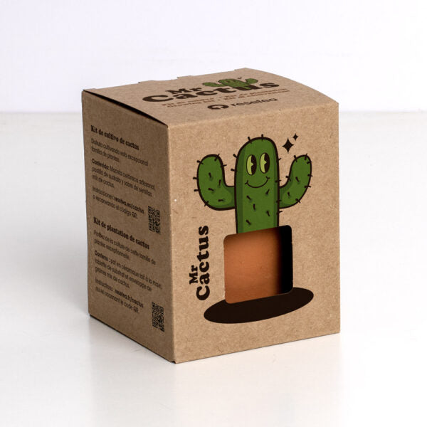 Kit resetea the Cactus Resetea 6