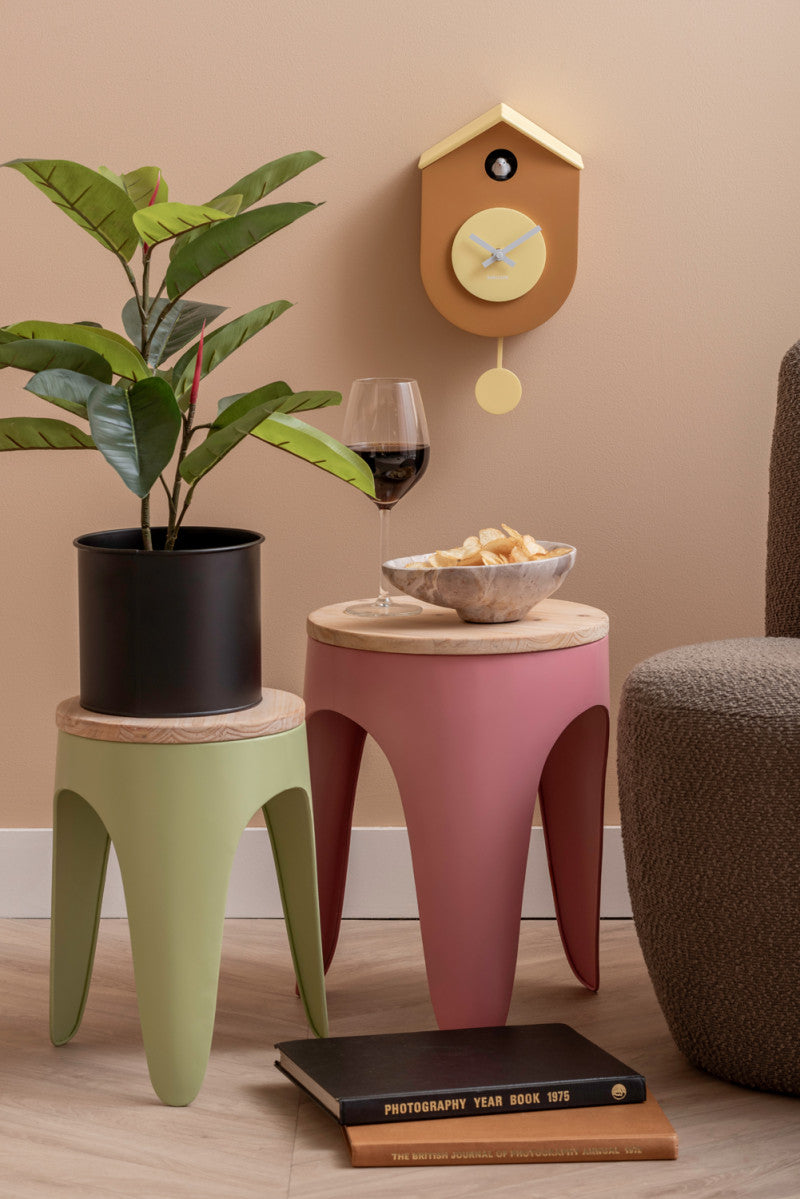 Pendule oiseaux Present Time 2