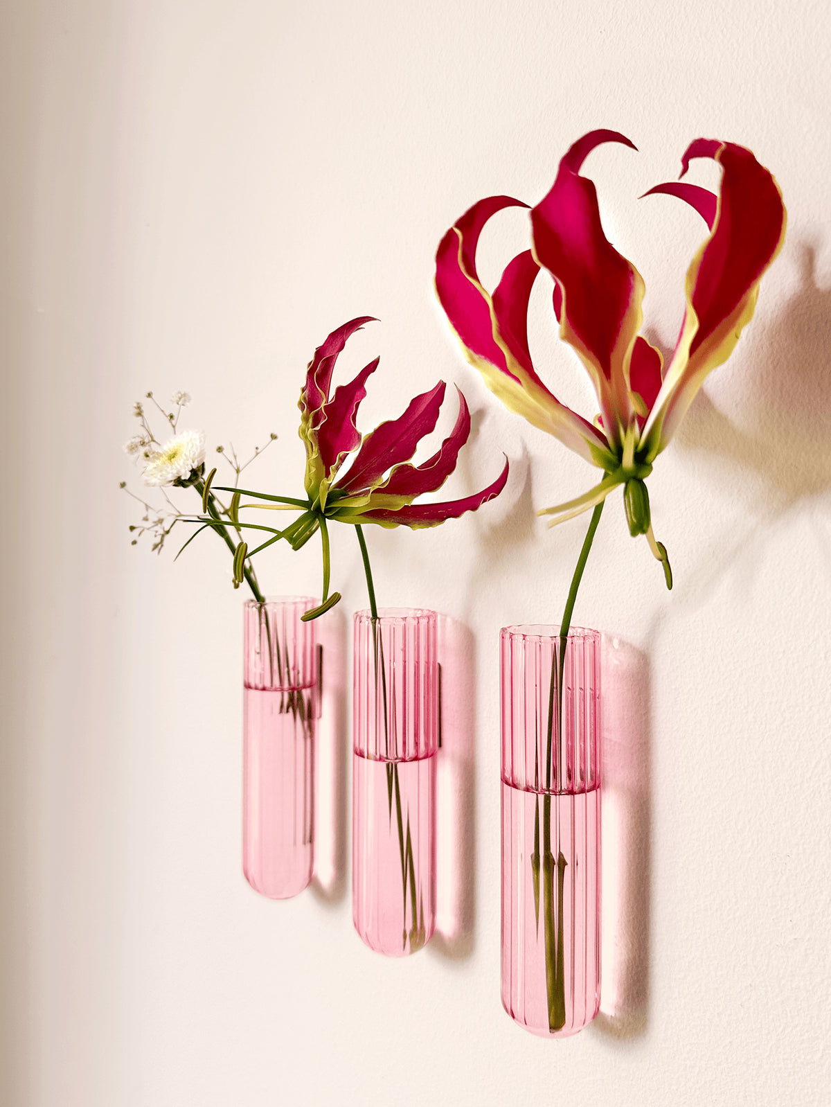 Lot de 3 Soliflores Walleaf