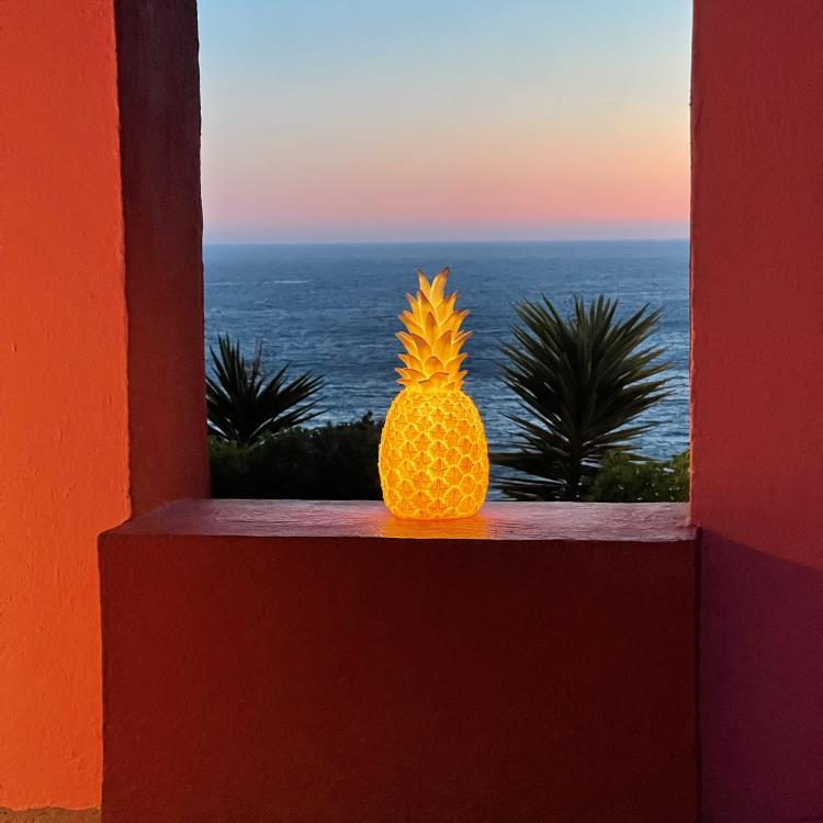 Good night ight lampe rechargeable ananas 
