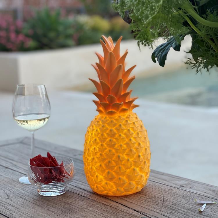 Good night ight lampe rechargeable ananas 1