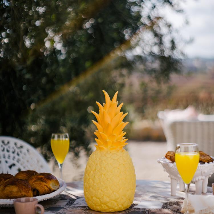 Good night ight lampe rechargeable ananas 3