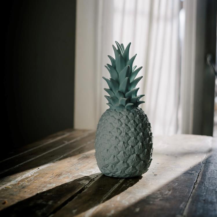 Good night ight lampe rechargeable ananas 5