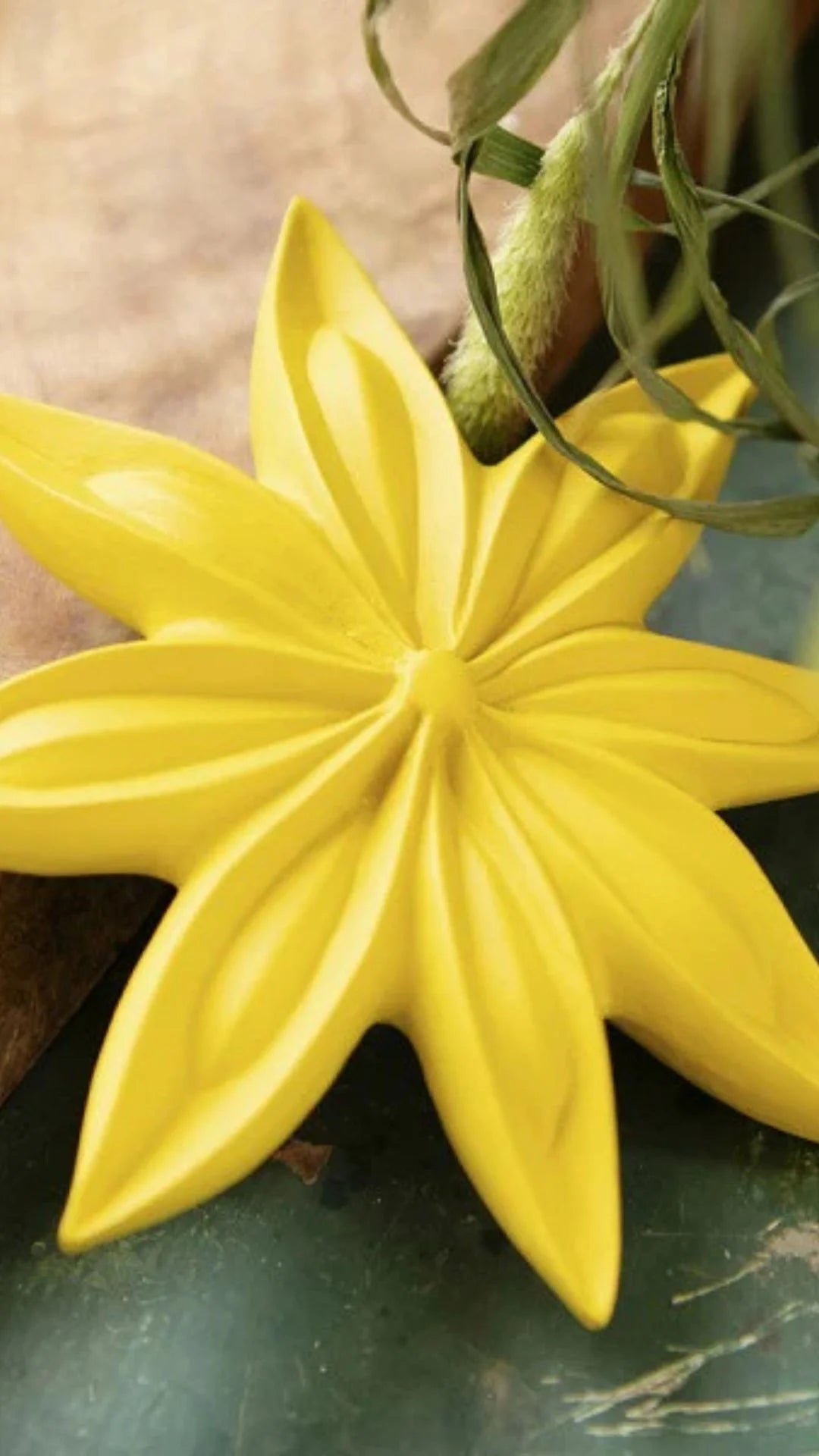 Fleur de Badiane Monochromic