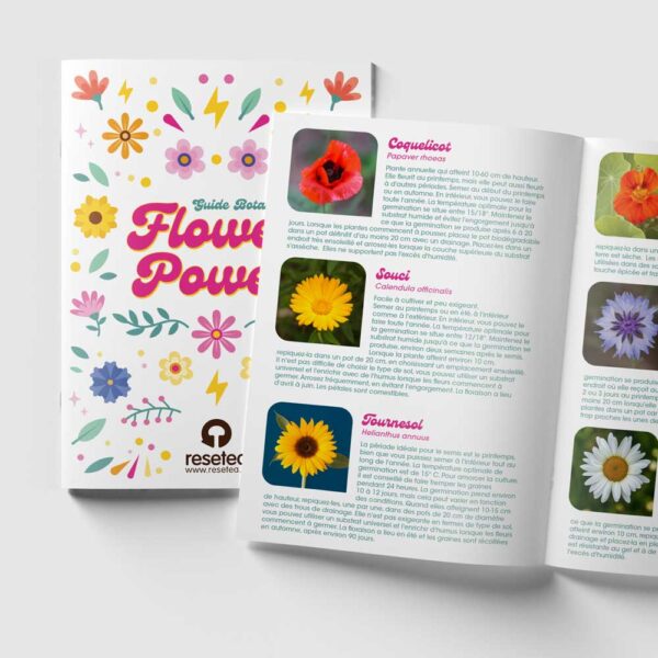 Kit de plantation Flower Power Resetea 2