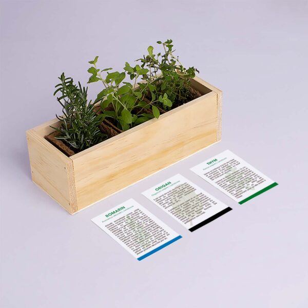 Kit de plantation provencal Resetea 3