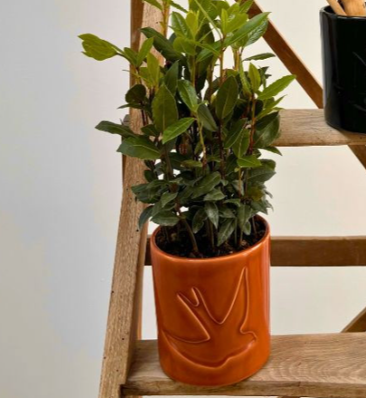 Pot en céramique émaillé orange Monochromic