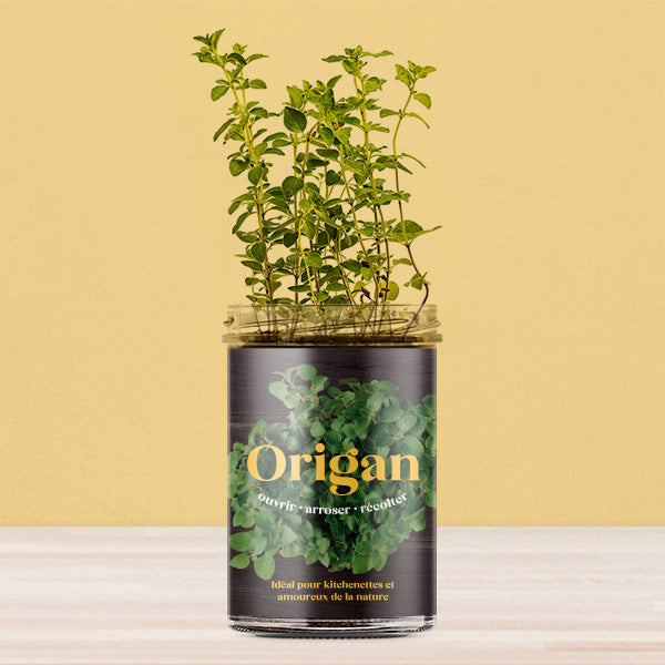 Potager pour la Cuisine