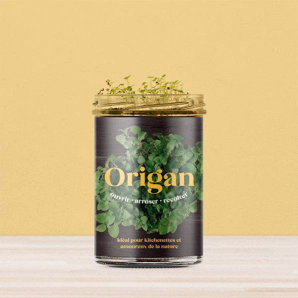 Potager pour la Cuisine