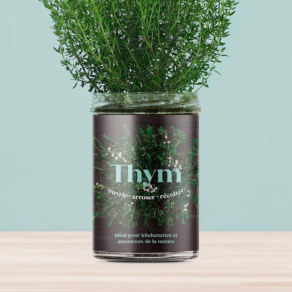 Potager pour la Cuisine